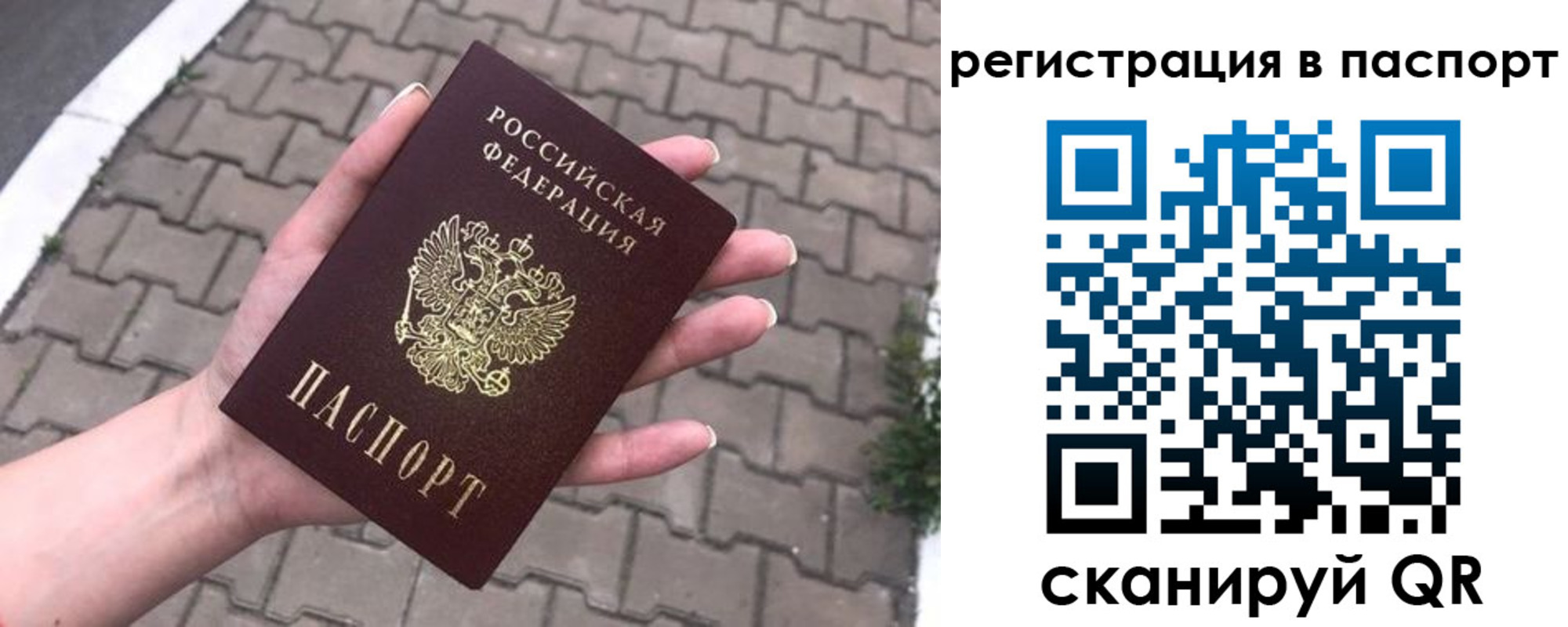 временная регистрация поиск в Александрове